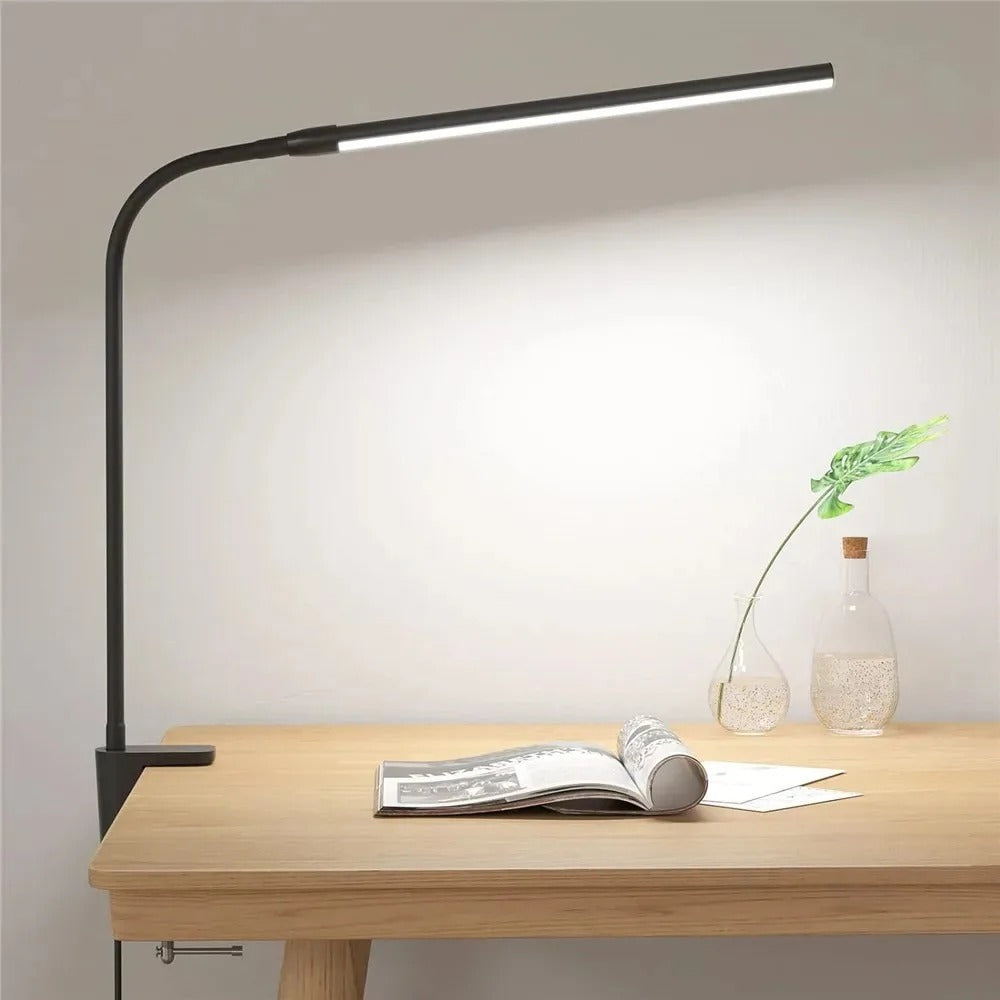 Versatile LED Desk Lamp with Single/Double Head and Eye Care 3 Lighting Options