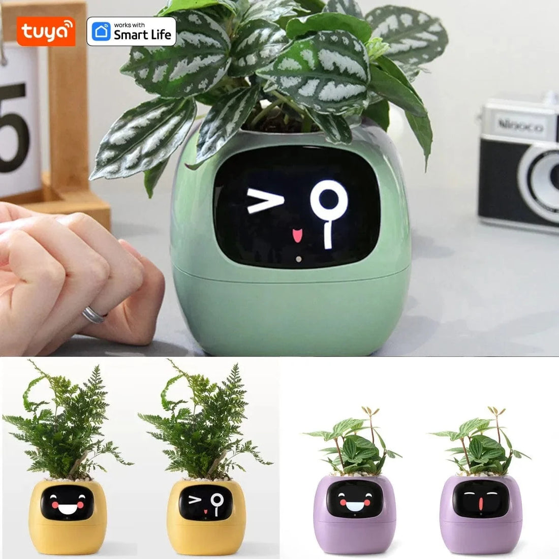 TrendoMark IvyBot Smart Planter