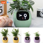 TrendoMark IvyBot Smart Planter