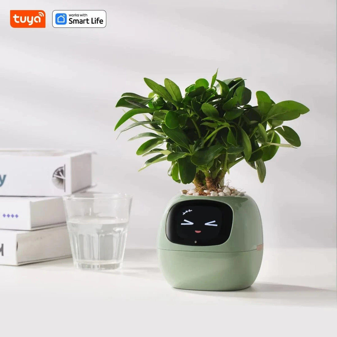 TrendoMark LightGreen IvyBot Smart Planter