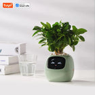 TrendoMark LightGreen IvyBot Smart Planter