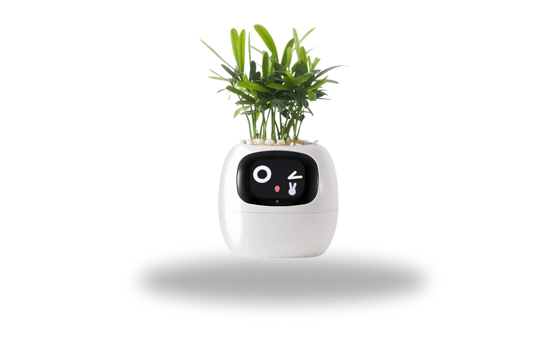 TrendoMark IvyBot Smart Planter