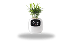 TrendoMark IvyBot Smart Planter