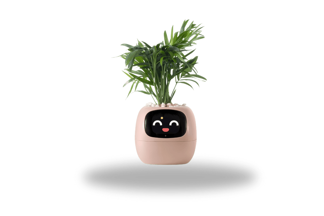 TrendoMark Light Pink IvyBot Smart Planter