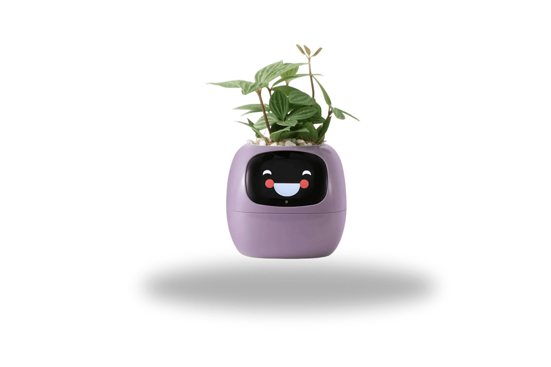 TrendoMark Purple IvyBot Smart Planter
