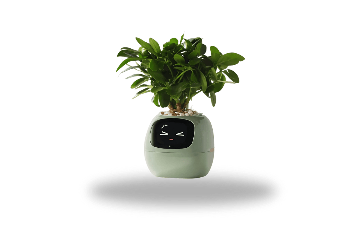 TrendoMark IvyBot Smart Planter