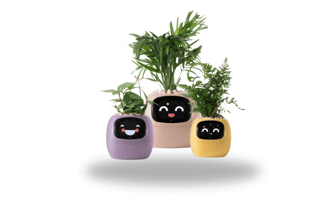 TrendoMark IvyBot Smart Planter